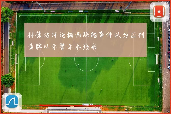 孙葆洁评论梅西踩踏事件认为应判黄牌以示警示和惩戒