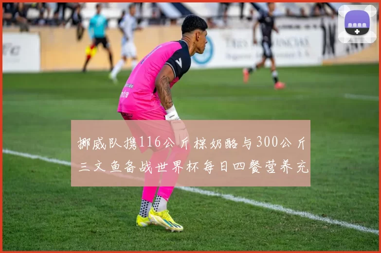 挪威队携116公斤棕奶酪与300公斤三文鱼备战世界杯每日四餐营养充足