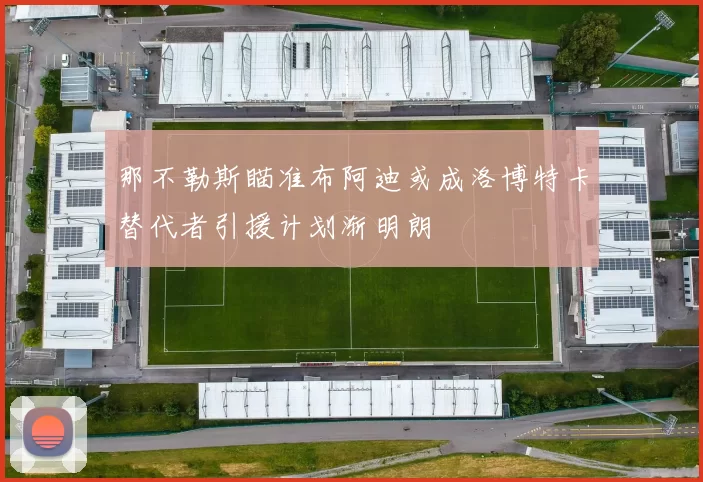 那不勒斯瞄准布阿迪或成洛博特卡替代者引援计划渐明朗